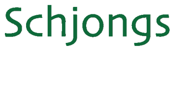 Schjonsfemmern