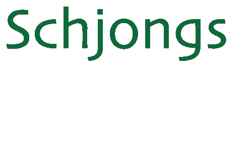 Schjonsfemmern